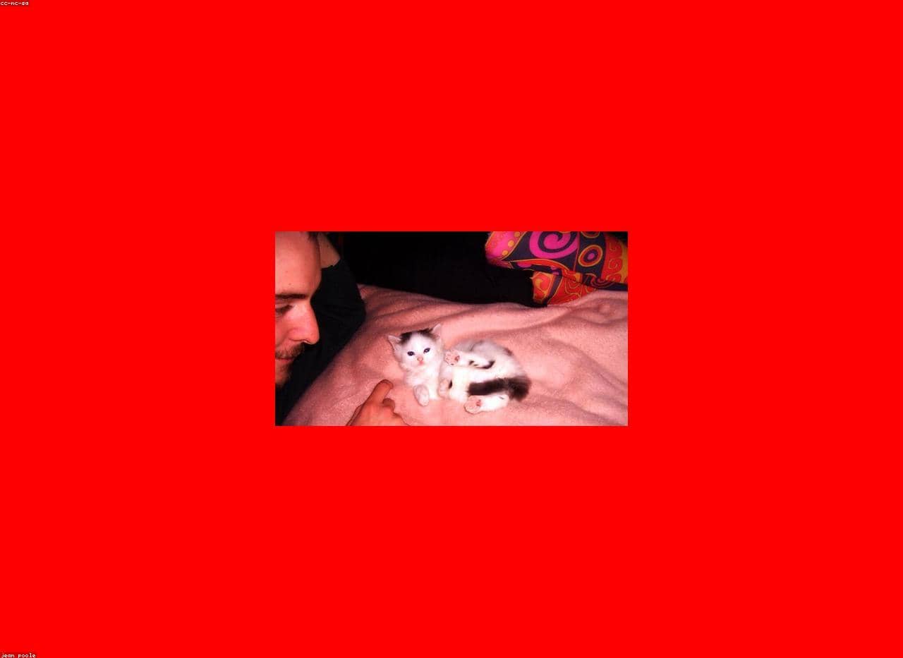 Unauth title RiBSYwCz